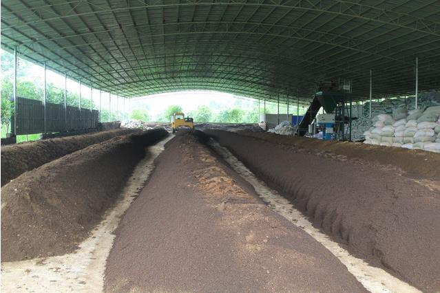 更多原创资讯请下载“澎湃新闻”APP)