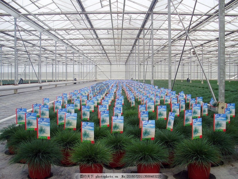 核心市场驱动因素主要体现在四个方面：一是健康与精神消费的崛起