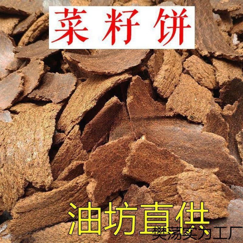 潜逃泰国多年后落网