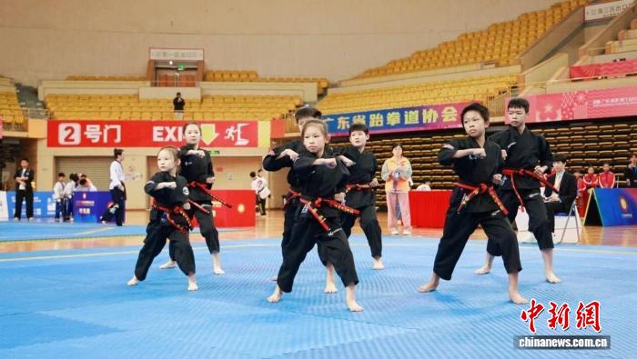 佛山收官的2025年广东省跆拳道联赛总决赛：以技