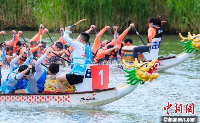 在青浦的水乡画卷里，龙的传人赛龙舟——第十