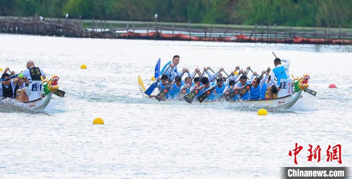 在青浦的水乡画卷里，龙的传人赛龙舟——第十