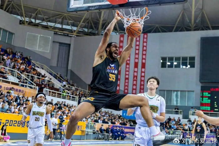 山东蜜獾NBL征程：十四胜十二负的坚守与希望